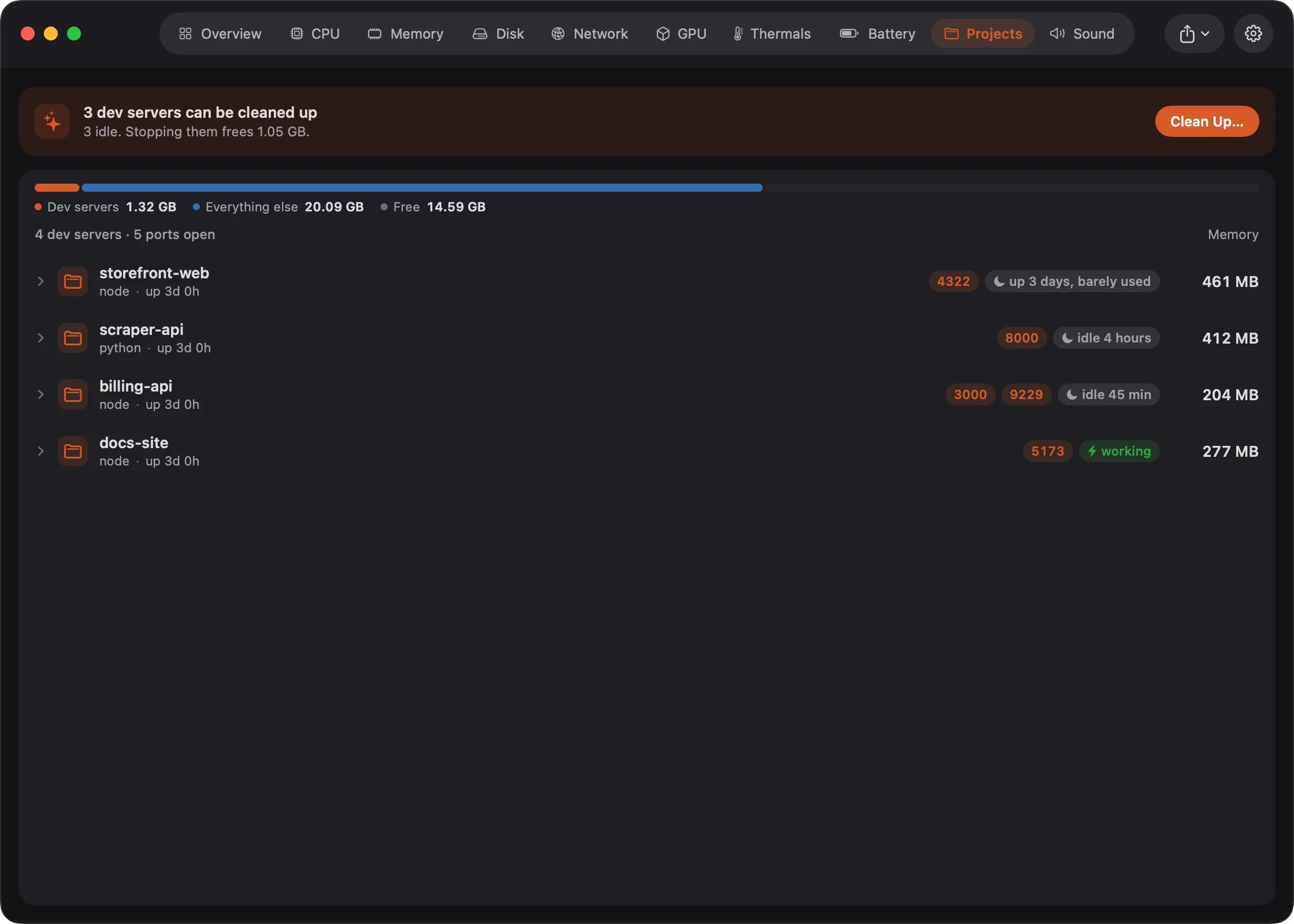 The Projects tab: projects with their processes, ports and status, idle servers flagged
